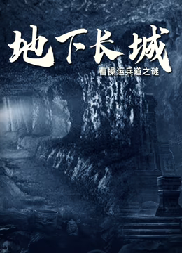 地下长城(全集)