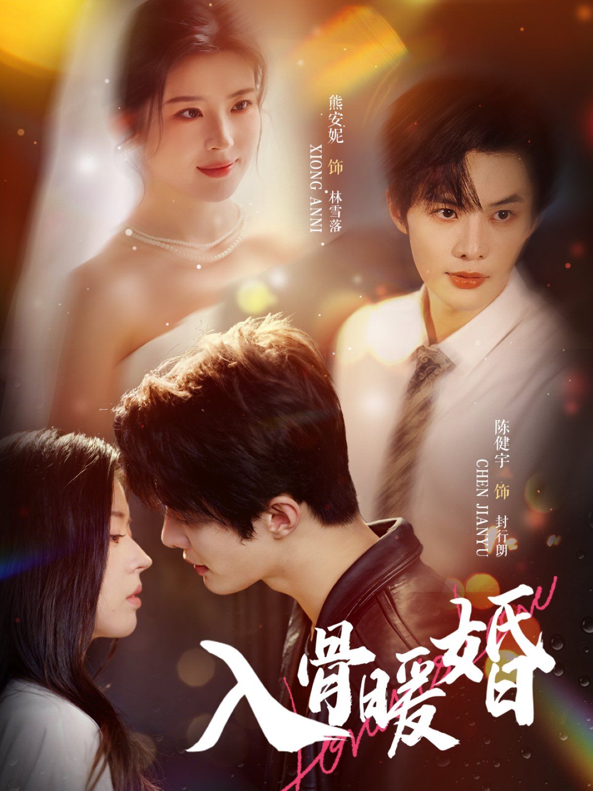 入骨暖婚(全集)