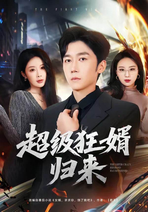 超级狂婿归来(全集)