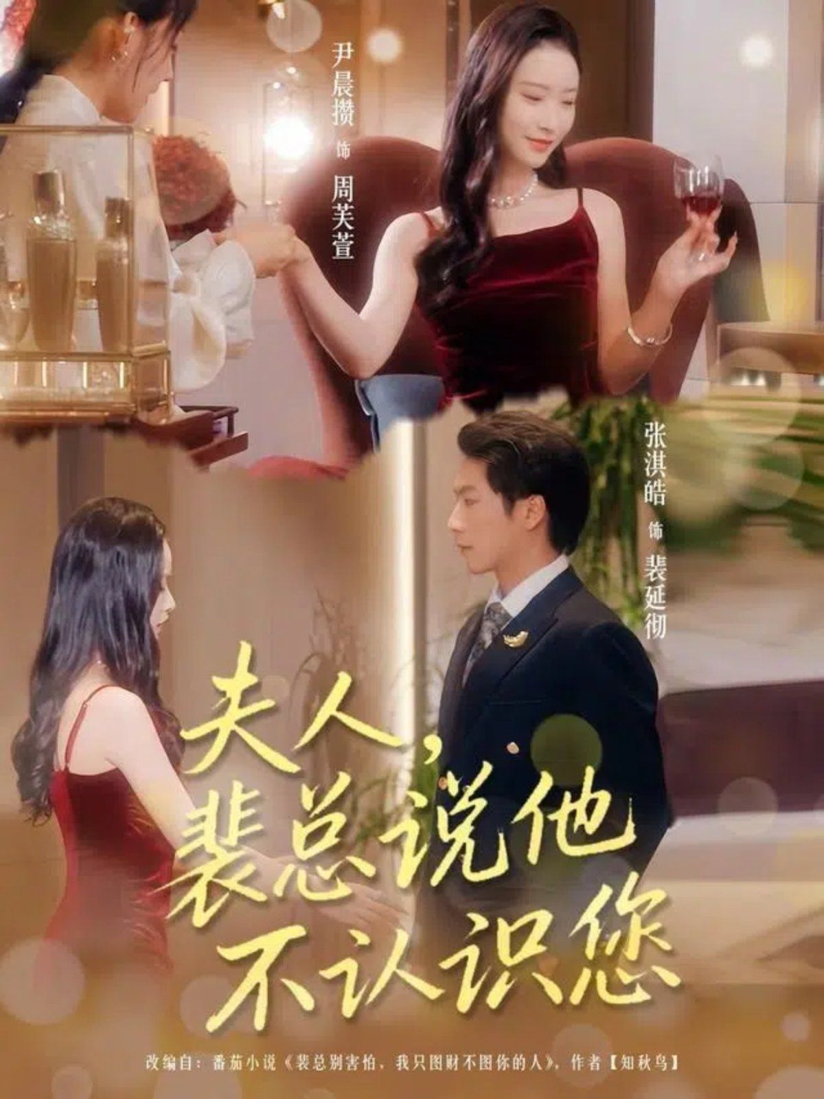 夫人裴总说他不认识您(全集)