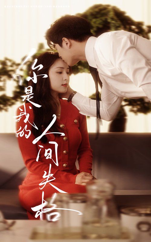 你是我的人间失格(全集)