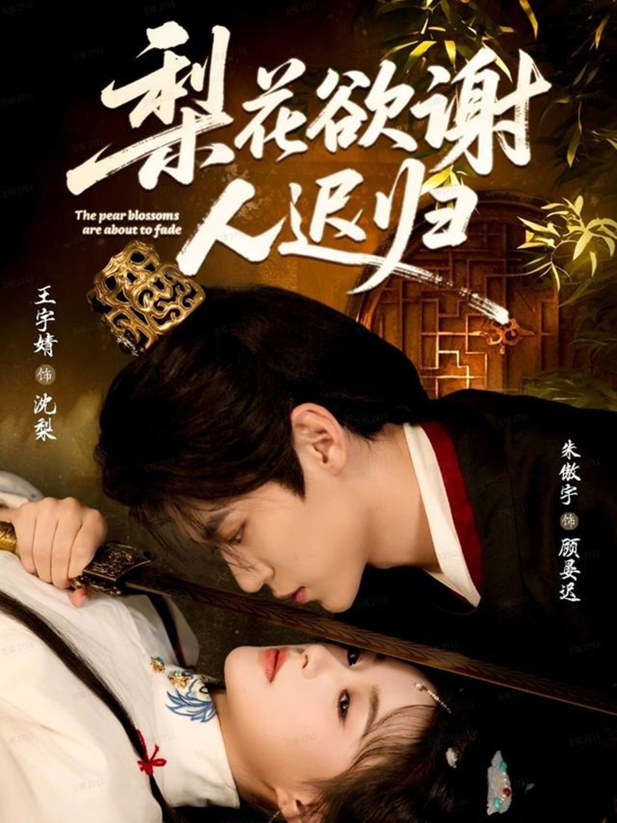 梨花欲谢人迟归(全集)