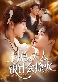 封总，夫人银针会撩火(全集)