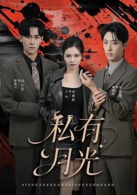 私有月光(全集)