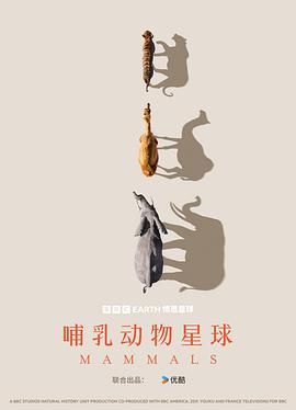 哺乳动物星球(全集)