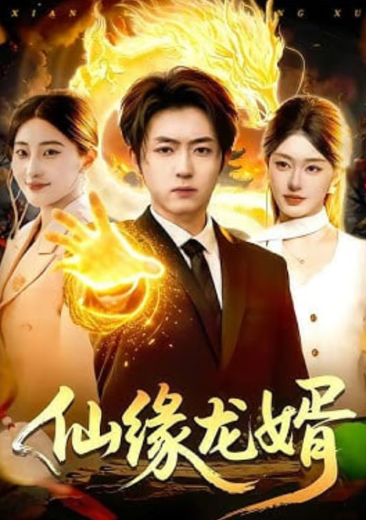 仙缘龙婿(全集)